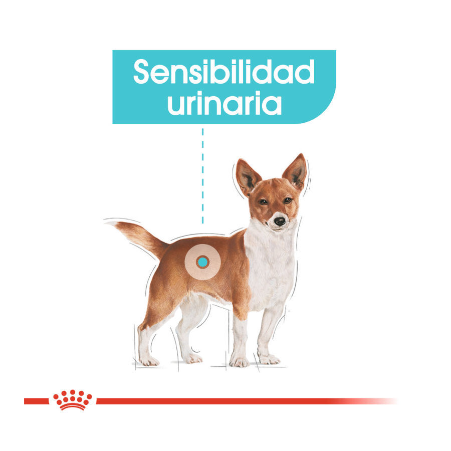 85 g Royal Canin Urinary Care pat&eacute; sobre para perros, , large indicador imagen numero 4